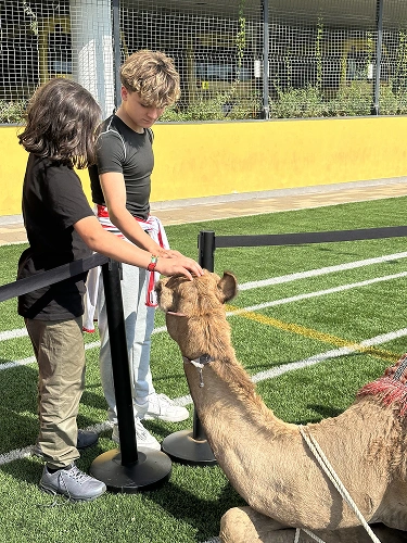 UAE National Day 2025-2026 image 1